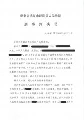 无罪案例——袁某某诈骗,信用卡诈骗、贷款诈